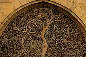 Explore Gujarat